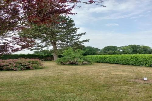 a field with a tree and some bushes at Charming Breton house in Hénansal in Hénansal
