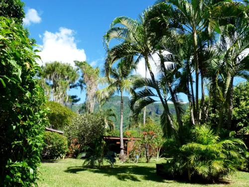 Zahrada ubytování Poerani Moorea