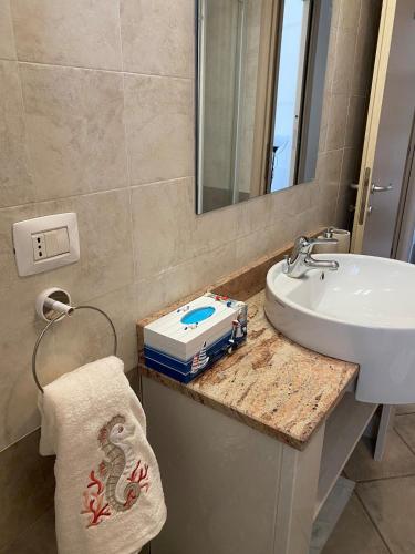 a bathroom with a sink and a mirror and a counter at A casa di Giulia in Rosolina