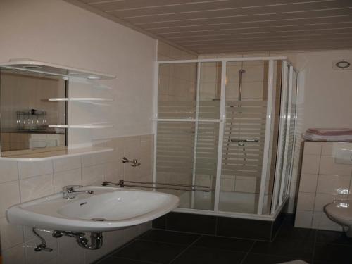a bathroom with a sink and a glass shower at Ferienwohnung im Bayerischen Wald mit Balkon in Drachselsried