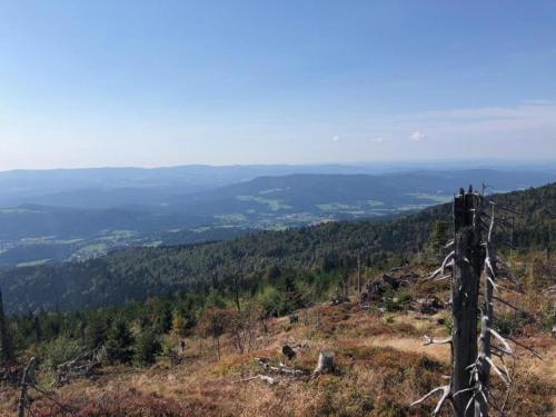 a view from the top of a mountain at Ferienwohnung im Bayerischen Wald mit Balkon in Drachselsried