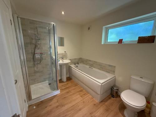 a bathroom with a shower and a toilet and a sink at Luxury Riverside Retreat In Picturesque Setting in Clunton