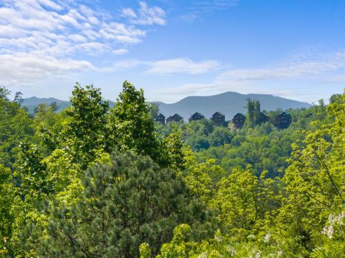 a view of a forest with mountains in the background at Beneath The Stars by American Patriot Getaways in Hatchertown