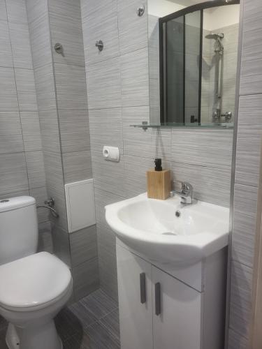 a bathroom with a sink and a toilet and a mirror at Panorama in Dzierżoniów