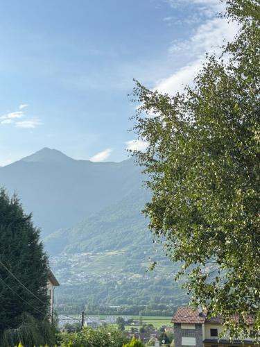 a view of a valley with mountains in the distance at Il cuore della valtellina in Caiolo