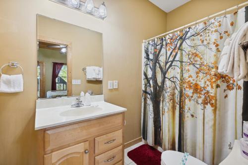 un bagno con lavandino e tenda da doccia di Valley View Lodge by American Patriot Getaways a Hatchertown