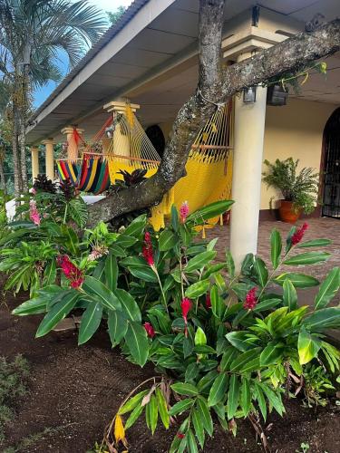 a porch of a house with a hammock at Newly Remodeled Villa Las Flores, 11 guests 