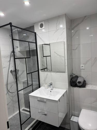 a bathroom with a shower and a sink and a toilet at Ferienwohnung Sofi in Bad Reichenhall