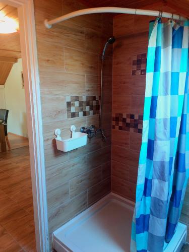 a bathroom with a shower with a sink at Maróni Ház in Zalakaros