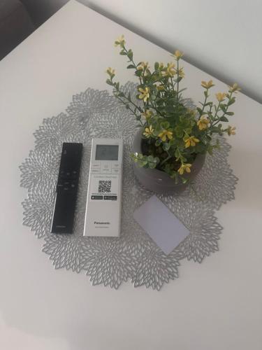 Fotografie z fotogalerie ubytování SILVIA apartment 109 v destinaci Druskininkai