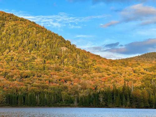 Gambar di galeri bagi La Libellule- The Zen Lake House in Tremblant di Brébeuf