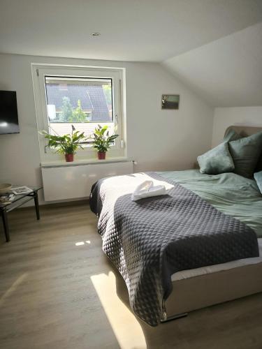 a bedroom with a bed and a window with potted plants at Ferienwohnung Am Sonnenbrink in Goslar