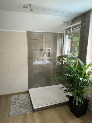 a bathroom with a shower and a sink and a plant at Ferienwohnung Am Sonnenbrink in Goslar