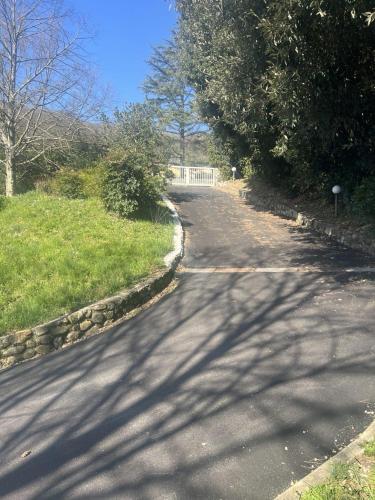 a winding road with trees on the side of it at Hillside semi-detached villa with panoramic views in Schignano