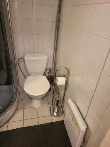 a small bathroom with a toilet and a shower at Transhostel IRIS in Narva