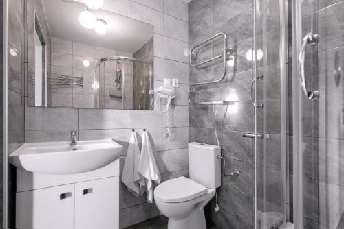 a bathroom with a toilet and a sink and a shower at Nemo - apartament, domek w Gaskach in Gąski