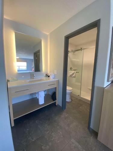 a bathroom with a sink and a toilet and a mirror at Best Western Montrose Inn in Montrose
