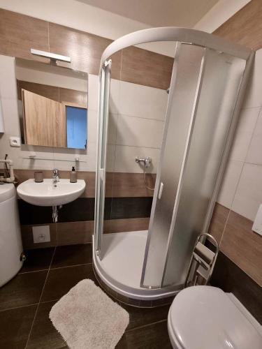 a bathroom with a shower and a toilet and a sink at Apartmán Kovadlina 5 - Kovářov, výhled na Lipno in Frymburk