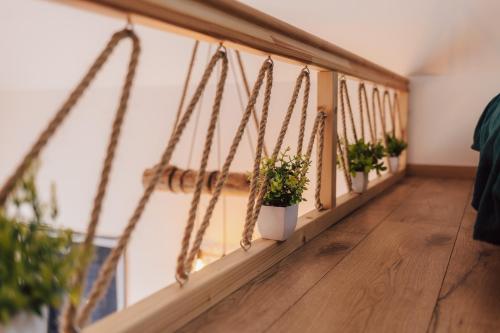 a row of potted plants on a wall at Tiny house Sigulda in Sigulda