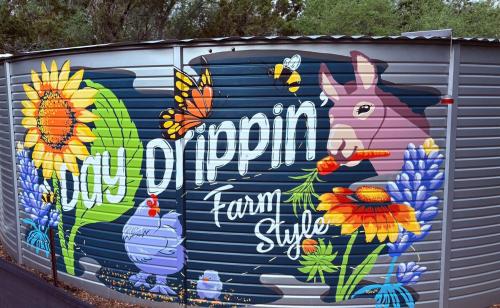Fotografie z fotogalerie ubytování Day Drippin' Farm-stay v destinaci Dripping Springs