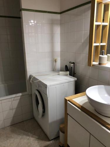 a bathroom with a washing machine and a sink at Tranquille et chaleureux in Carcassonne