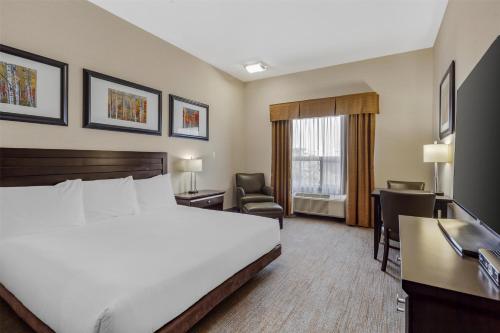 a hotel room with a bed and a desk at Best Western Wainwright Inn & Suites in Wainwright