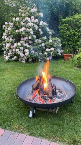 a fire pit in the grass in a yard at Haus Petersen in Undeloh