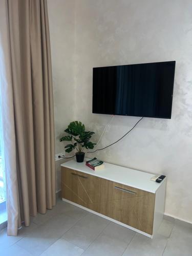 a flat screen tv on a wall with a potted plant at Nikol Apart in Balchik