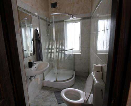 a bathroom with a toilet and a shower and a sink at Pipacs Apartman in Nyíregyháza