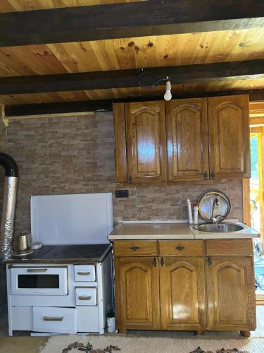 a kitchen with wooden cabinets and a sink and a stove at Beco's Place in Plav