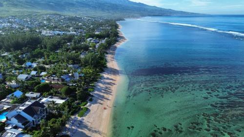 an aerial view of a beach and the ocean at Philoxenia, maison et table d'hôtes in La Saline les Bains