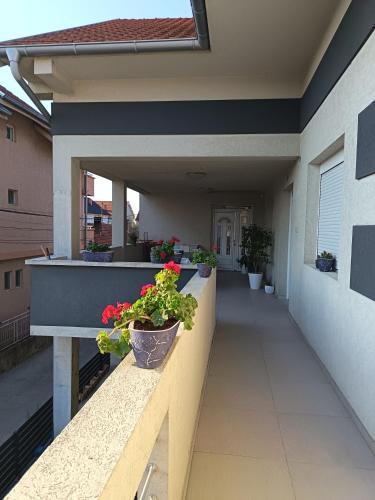 a balcony of a house with potted plants on it at Lovely Apartment with terrace/Divan apartman sa terasom in Novo Selo