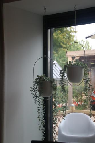 a room with two plants hanging from a window at Hoeve Altena Barn in Woudrichem