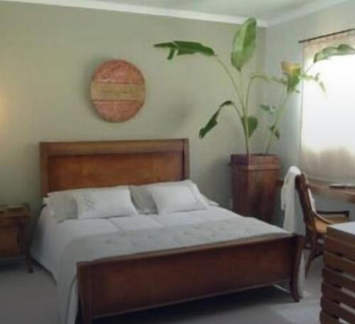 a bedroom with a bed and a potted plant at Anacã São Carlos in São Carlos