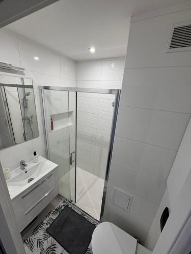 a bathroom with a shower and a toilet and a sink at Mieszkanie przy Ergo Arenie in Gdańsk