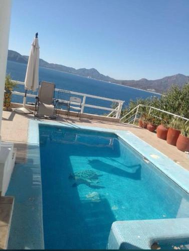 a swimming pool with a view of the water at Casa Tortugas Manzanillo in Manzanillo