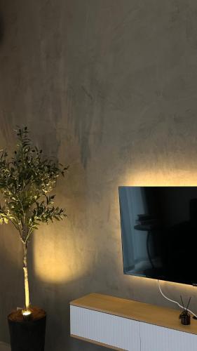 a plant sitting on a table next to a television at IPOH City Centre ICC Suites by HWC in Ipoh