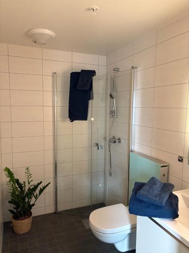 a bathroom with a toilet and a shower with blue towels at Cozy Apartment in Tromsø