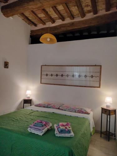 a bedroom with a green bed with two towels on it at Apartments Aurora Delle Rose in Assisi