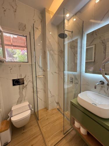 a bathroom with a shower and a toilet and a sink at Villa Sandy in Syvota