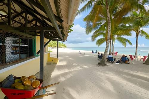 a bowl of fruit on a beach with palm trees at Beachside 1Bdrm Apt. Hidden Oasis with Pool & BBQ in Juan Dolio