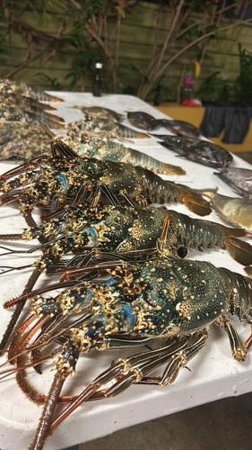 a group of lobsters on a white table at Hagat Sunset Retreat in Agat