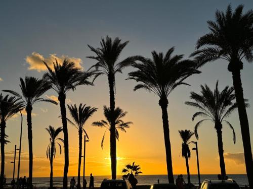 Las Americas Front Line