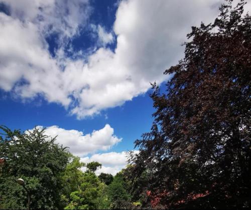 Příroda nedaleko apartmánu