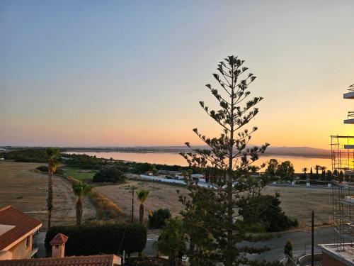 a view from the balcony of a resort with a tree at Majestic Sunset Salt Lake Views 300m From Beach in Larnaka