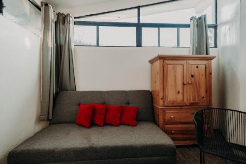 a couch with two red pillows in a room at DaNik Valle in Francisco Zarco