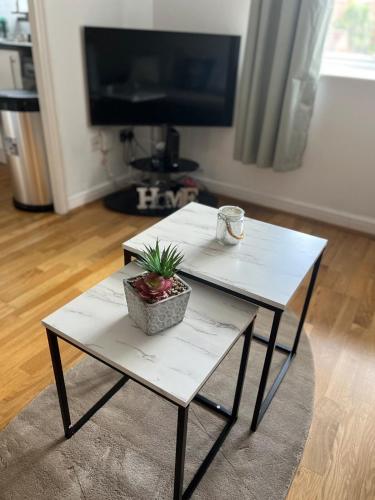 a white coffee table with a potted plant on it at 1 bed Flat Greater London in New Malden