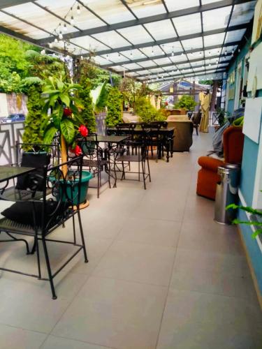 Gambar di galeri bagi Hotel Newland di Chiatʼura