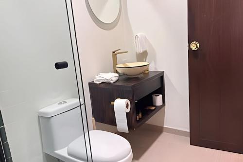 Un baño con inodoro, lavabo y espejo. en Diversión y bosque con amigos, en Villa Victoria
