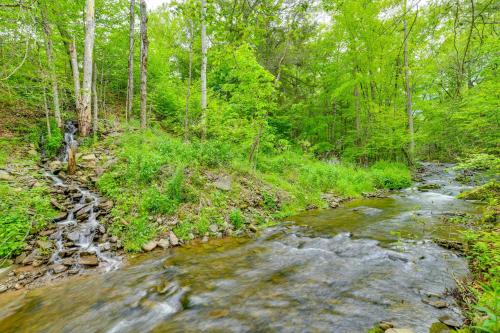 a stream in the middle of a forest with trees at Serene Home with On-Site Brook in Callicoon Center in Callicoon Center